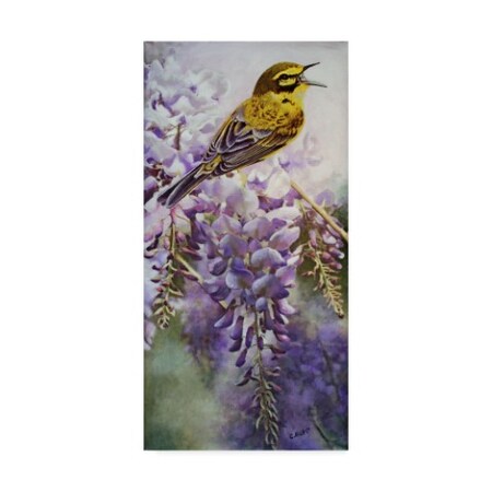 Carol J Rupp 'Yellow Bird In Wisteria' Canvas Art,24x47